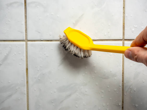 Best Best Mold Removal Companies  in Waterford, WI