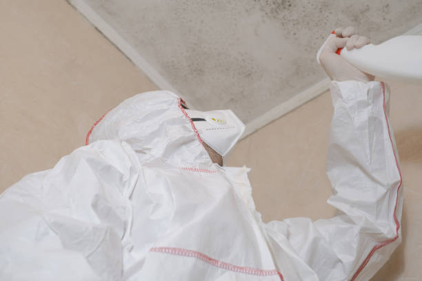 Best Mold Removal Process  in Waterford, WI