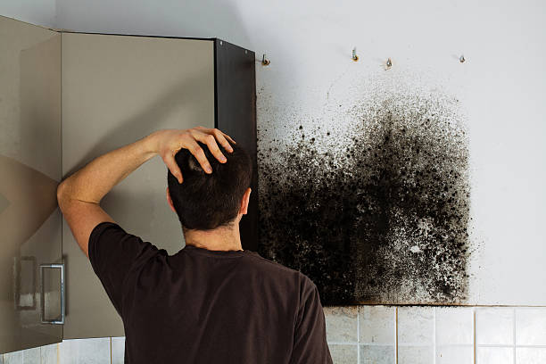 Mold Removal Process in Waterford, WI